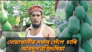 নোয়াখালীতে আধুনিক পদ্ধতিতে পেঁপে চাষ করে সফল কৃষক  আবদুল রশিদ মিয়া।