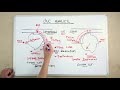 conventional vs climb milling on a cnc machine cnc basics – workbee