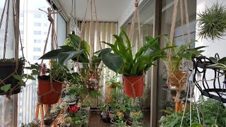 행잉걸이   만들기 making hanging plant holder