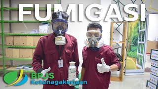 Fumigasi Di Kantor BPJS Ketenagakerjaan | Bintoro Pest