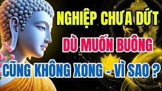 Nghiệp Chưa Dứt – Muốn Buông Cũng Không Xong – Pháp Thoại Cho Người Đang Khổ Vì Tình