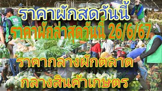 ราคาผักล่าสุดวันนี้ 26/6/67