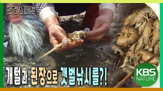 개털과 된장으로 갯벌낚시를?! 신통방통 잘피밭 물고기잡이 [환경스페셜-바다의 숲 잘피 2편 공존을 꿈꾸다] / KBS 20121031 방송