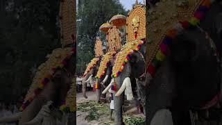 Aaradi Pooranagari in Panchari Mela | Daytime Puram 2025 in Kattuval | Kattuvallil Dharmashastha Temple |