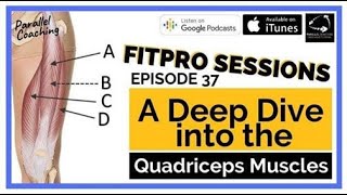 Episode 037: A deep dive into the quadriceps muscles