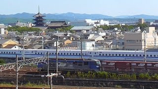 【JR貨物】EF210形桃太郎　東海道新幹線　京都駅東寺付近