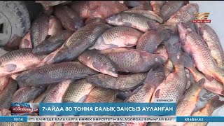 Жыл басынан 80 тоннаға жуық заңсыз ауланған балық тәркіленді