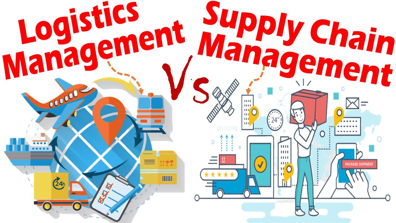 Logistics Vs Supply Chain | My XXX Hot Girl