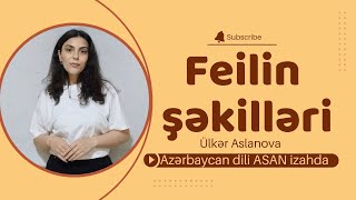 Feilin şəkilləri