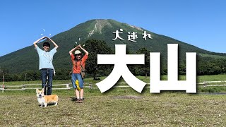 犬連れ安心！夏でも涼しい観光地が沢山ありました【夫婦と犬キャンプ】