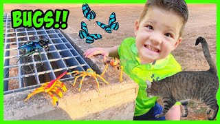 🕷CATCHING BUGS OUTSIDE! Caleb & Mommy GO on a BUG HUNT and Learn about Insects for kids!
