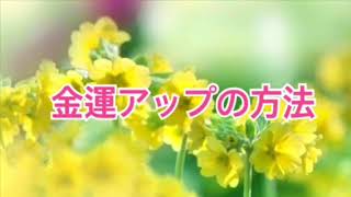 金運アップの方法【全盲の運波セラピスト松島みゆき】