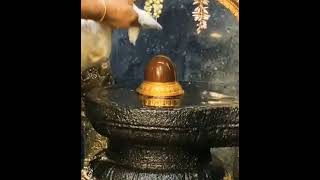 Lord Shiva Milk Abisegam Video | சிவன் பாலாபிஷேகம் | ஓம் நமசிவாய | சிவனே துணை | Om Namasivaya |