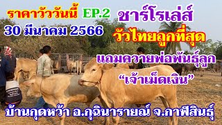 EP.2 #ราคาวัววันนี้ 30 มี.ค. 2566 ตลาดวัวบ้านกุดหว้า อ.กุฉินารายณ์ จ.กาฬสินธุ์ วัวชาร์โรเล่ส์ วัวไทย