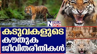 കടുവകളുടെ ജീവിതം അറിയുക I Life Style of Tiger