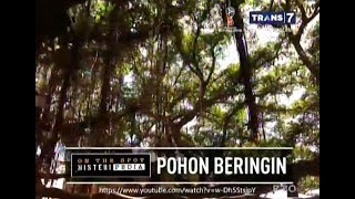 MISTERIPEDIA MISTERI POHON BERINGIN - ON THE SPOT TERBARU 29 MARET 2018