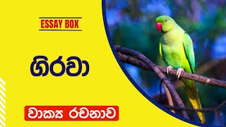 ගිරවා සිංහල රචනාව | ගිරවා ගැන වැකි | ගිරවා තොරතුරු | Parrot Sinhala essay | Girawa rachana