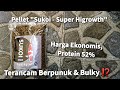 Pakan Ikan Koi Lokal Merk Sukoi | Harga Ekonomis & Protein 52%! Terancam Berpunuk & Bulky‼️