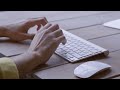 Python for Beginners: Full Course Notes & Practice