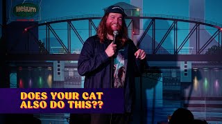 Does Your Cat Also Do This?? | Chris Higgins