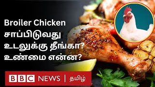 சிக்கனை விரும்பி சாப்பிடுபவரா நீங்கள்?  Broiler Chicken குறித்த இந்த தகவல்கள் உங்களுக்குதான்