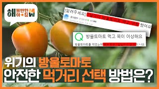 [해 볼만한 아침 M\u0026W] 위기의 방울토마토! 안전한 먹거리 선택 방법은? KBS 230419 방송