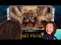 ANTS vs SPIDERS - Who is Stronger  ULTIMATE FIGHTING WORDS