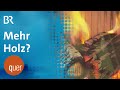 Bayern will Heizen mit Holz vorantreiben | quer vom BR