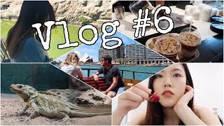 #6 vlog/结束final/关于异国恋的想法/去悉尼动物园/洗泥面膜的正确方式