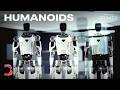Humanoid Robots and the Gap Between Hype and Reality | Bloomberg Primer