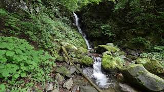 群馬県　南牧村　砥沢　南牧川　砥山本谷　本山の滝