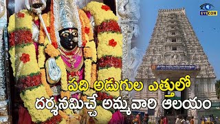 పది అడుగుల ఎత్తులో దర్శమిచే అమ్మవారి ఆలయం.. |  Sri Kotasattemma Temple |  కోటసత్తెమ్మ దేవాలయం