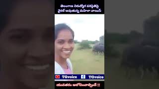 బర్ల గాయ వచ్చిన | నిరుద్యోగ పరిస్థితిపై వైరల్ అవుతున్న మహిళా సెల్ఫీ వీడియో SelfieVideoOnUnemployment