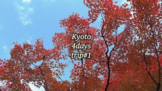 ［Vlog］秋の京都旅行3泊4日紅葉巡り day1　ひとり旅