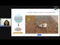 world wetlands day 02 february 2025 webinar series i 2 i ms. parveen shaikh