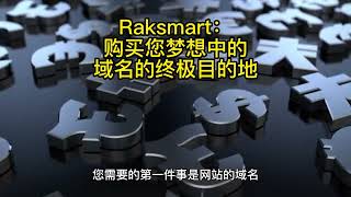 Raksmart：购买您梦想中的域名的终极目的地