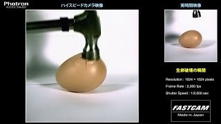 「生卵破壊の瞬間」のスローモーション映像