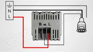 cablage ampoule LED eco variateur celiane de legrand avec la boutique du bricoleur