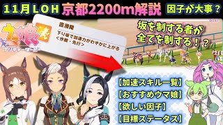 【ウマ娘/11月LOH】今回は因子作りが大事？京都中距離2200ｍを一挙解説！坂が大事なコースで何が必要？スキルからおススメウマ娘まで紹介！【ウマ娘】