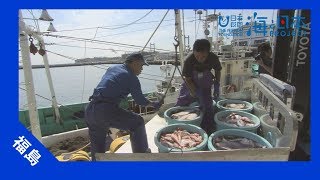 2017年 #22 相馬の底引き網漁の現状 | 海と日本PROJECT in ふくしま