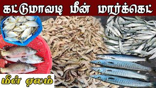 மீன் ஏலம் கட்டுமாவடி மீன் மார்க்கெட் Kattumavadi's BIGGEST Fish Market || Kattumavadi Meen Market