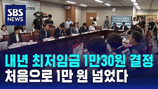 내년 최저임금 1만30원 결정…처음으로 1만 원 넘었다 / SBS