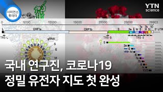 국내 연구진, 코로나19 정밀 유전자 지도 첫 완성 / YTN 사이언스