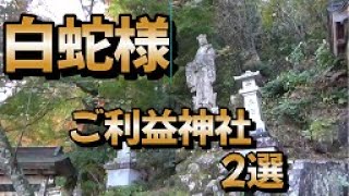 行っておきたい白蛇様のご利益のある神社　2選