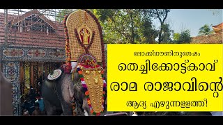 ലോക്ക്ഡൗണിനുശേഷം തെച്ചിക്കോട്ട്കാവ് രാമ രാജാവിന്റെ  ആദ്യ എഴുന്നള്ളത്ത്! Thechikottukavu Ramachandran