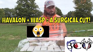 Wasp Havalon HV Ballistic gel test | Bco review |