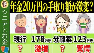 【2025年1月最新版】年金20万円の場合、年収の壁が103万円から変わると手取り額はこんなに増えるの？計算方法を徹底解説！