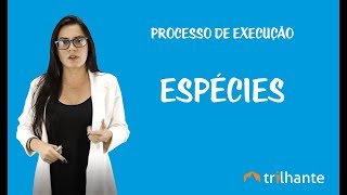 Processo de Execução - Espécies