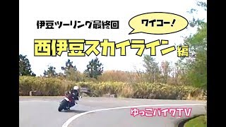 【バイク女子】伊豆ツーリングの巻〜西伊豆スカイライン編〜【YZF-R3／CB400SB】