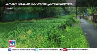 കനത്ത മഴയില്‍ 3200 ഏക്കറിലെ കൊയ്ത്ത് മുടങ്ങി; ആശങ്കയില്‍ കര്‍ഷകര്‍|heavy rain|vechoor